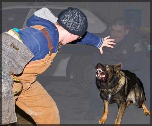 K9 Diesel