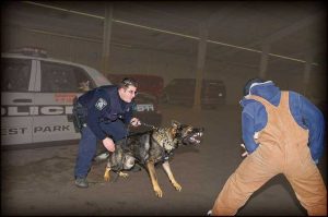 K9 Diesel