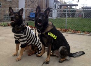 K9 Diesel