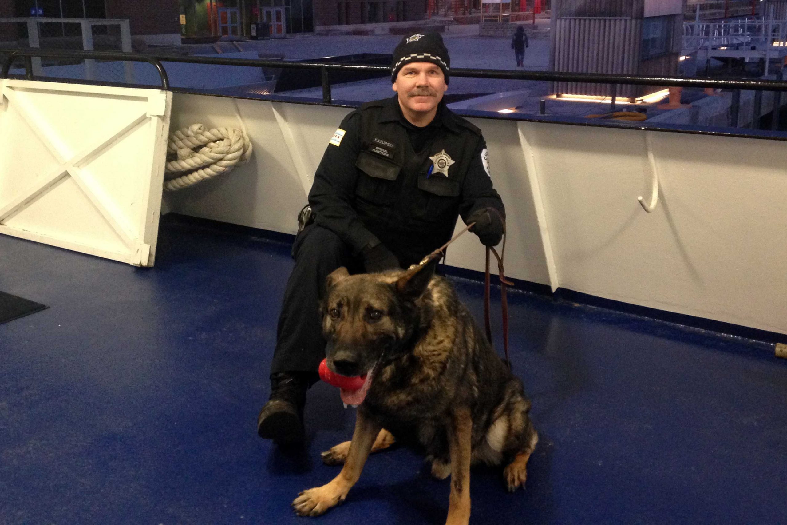 K9 Ditto