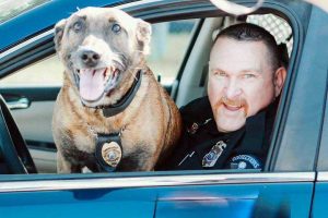 K9 Tyson