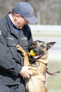 K9 Tyson