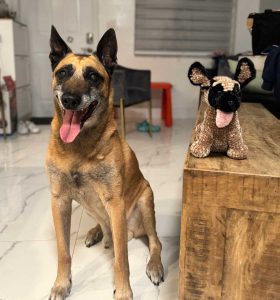K-9 Rex