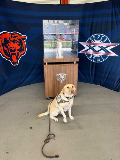 K-9 Sam