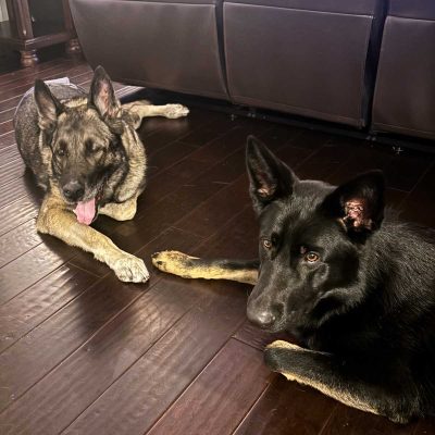 K-9 Echo