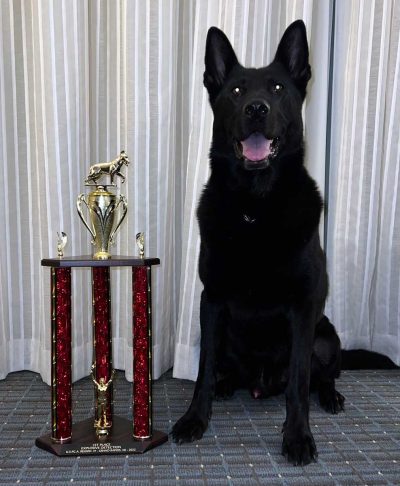 K-9 Bak