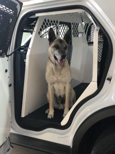K-9 Kay