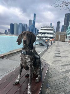 K-9 Mona-Moy
