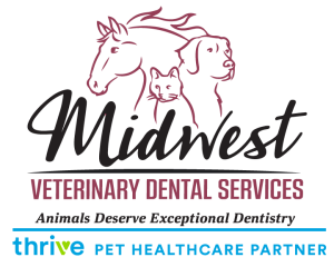 Midwest Veterinary Dental Services