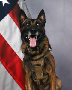 K-9 Egan