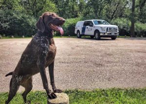 K-9 Rhea
