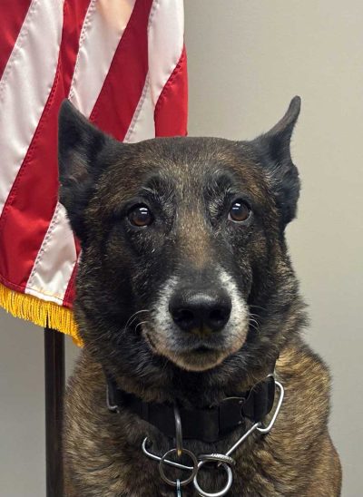 K-9 Bairon