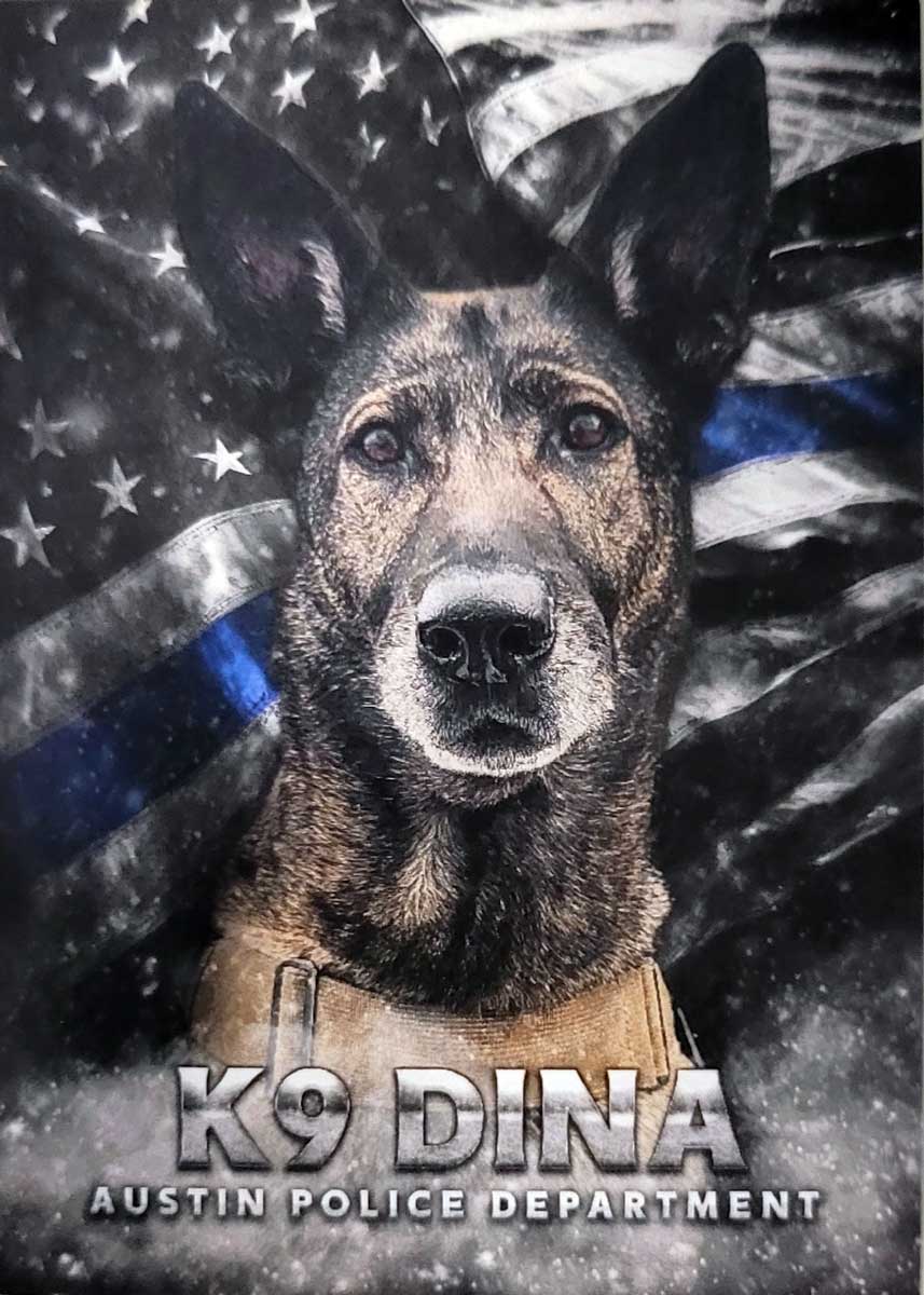 K-9 Dina