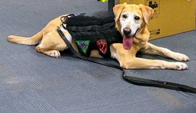 K-9 Riddle