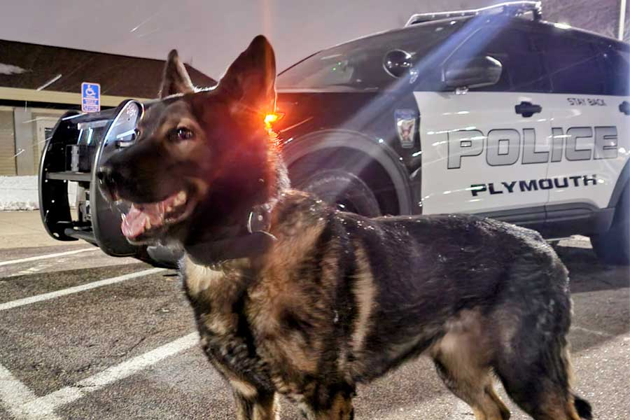 K-9 Romeo