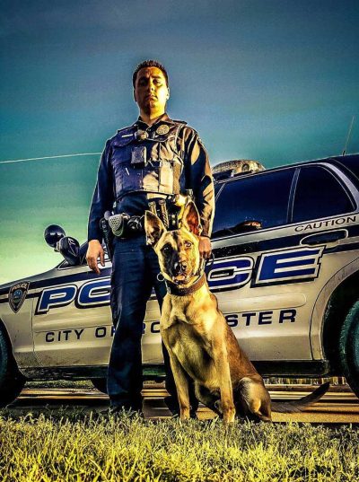 K-9 Wrecker