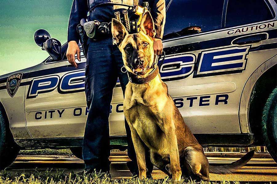 K-9 Wrecker