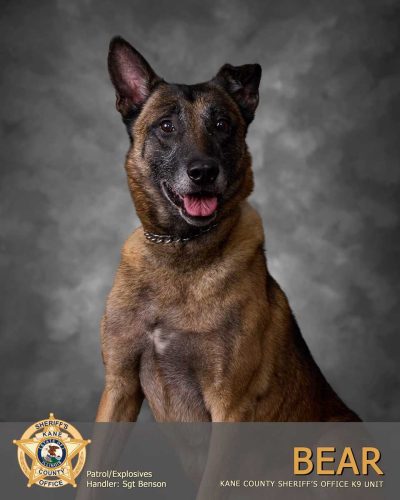 K-9 Bear