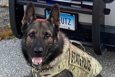 K-9 Boehm