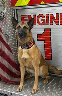 Mazie 26-23